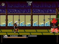 Mystical Fighter sur Sega Megadrive